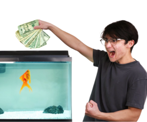 Michael Reeves goldfish: tutta la storia